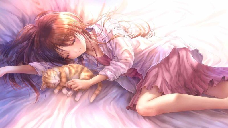 动漫艺术 猫 女孩-奈落语