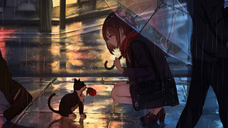 动漫女孩 雨伞 透明雨伞 下雨动漫 夜晚雨夜猫-奈落语