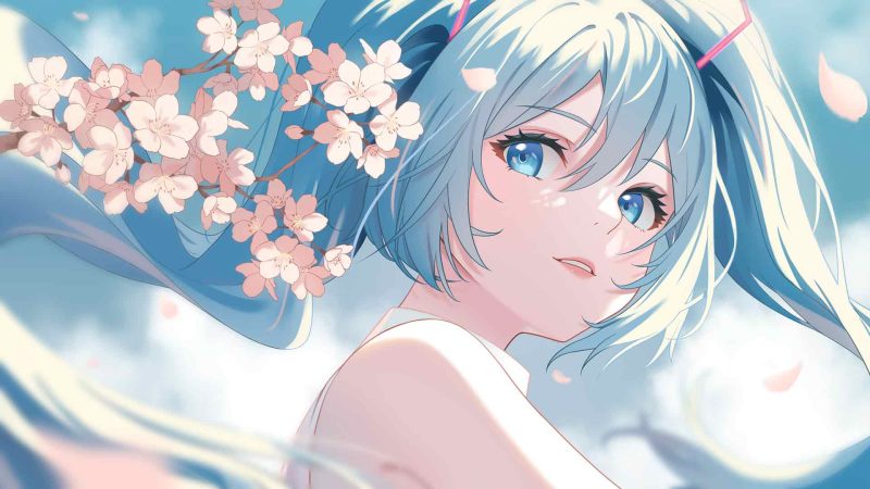 初音 樱花 4K动漫壁纸-奈落语