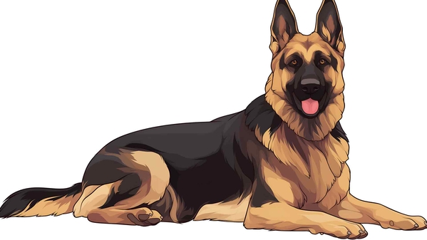 德国牧羊犬壁纸-奈落语
