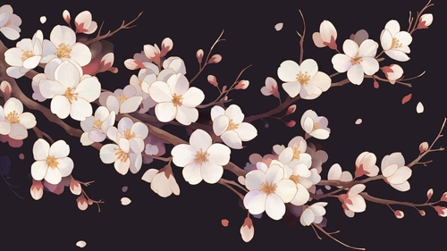 树枝与白色的花朵春天桌面壁纸-奈落语