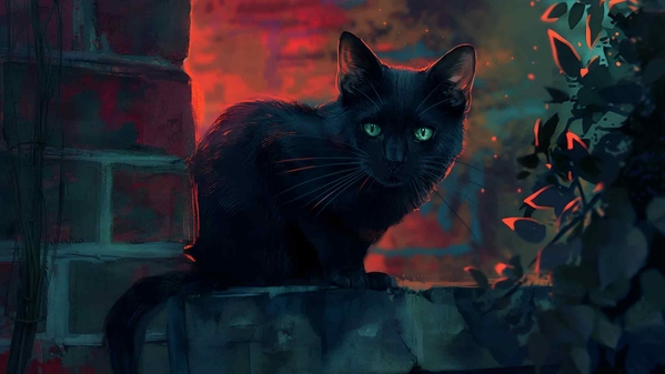 唯美黑猫桌面壁纸-奈落语
