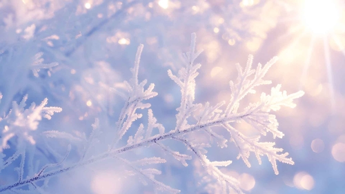 寒冷的冬天雪花桌面壁纸-奈落语