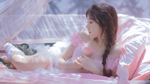 玫瑰花 粉嫩美女5k壁纸-奈落语