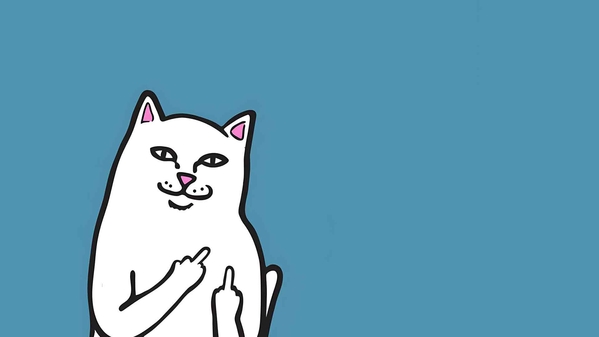 RIPNDIP 猫青色桌面壁纸-奈落语