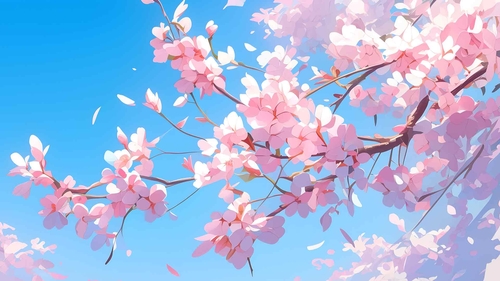 美丽的苹果花桌面壁纸-奈落语