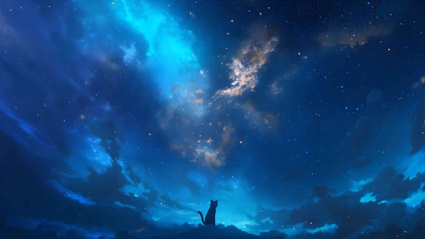 猫观星银河夜晚桌面壁纸-奈落语