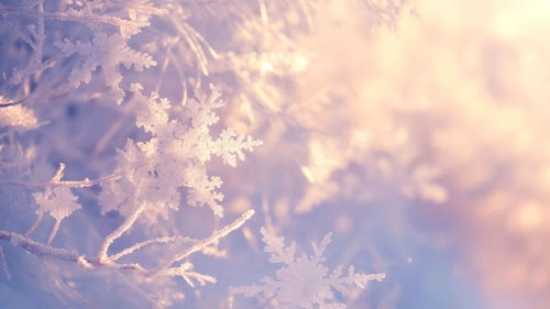 冰雪奇缘冬季仙境桌面壁纸-奈落语