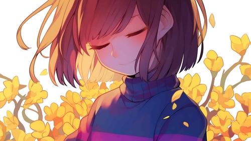 FRISK 黄色的花朵 桌面壁纸-奈落语