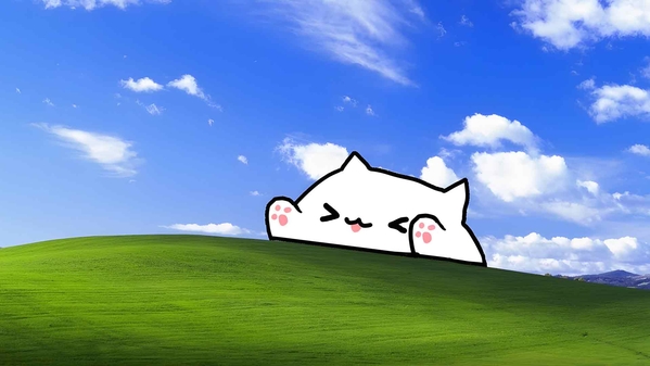 邦戈猫 WINDOWS XP MEME 桌面壁纸-奈落语