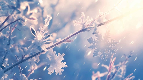 冬季树枝上的雪花桌面壁纸-奈落语