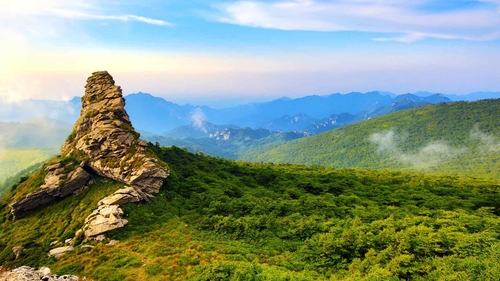 秦岭分水岭丛林自然高清风景-奈落语