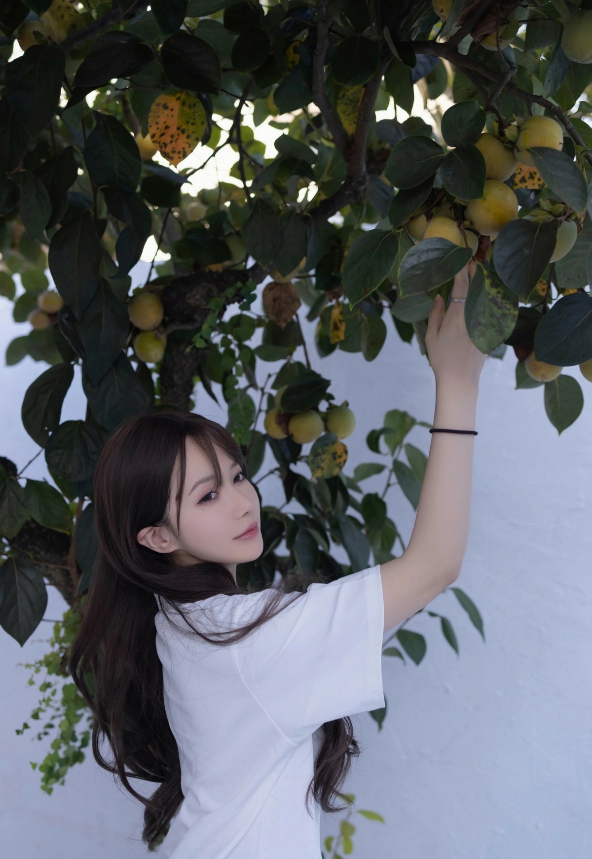 秋日柿树旁的温柔少女氛围感写真