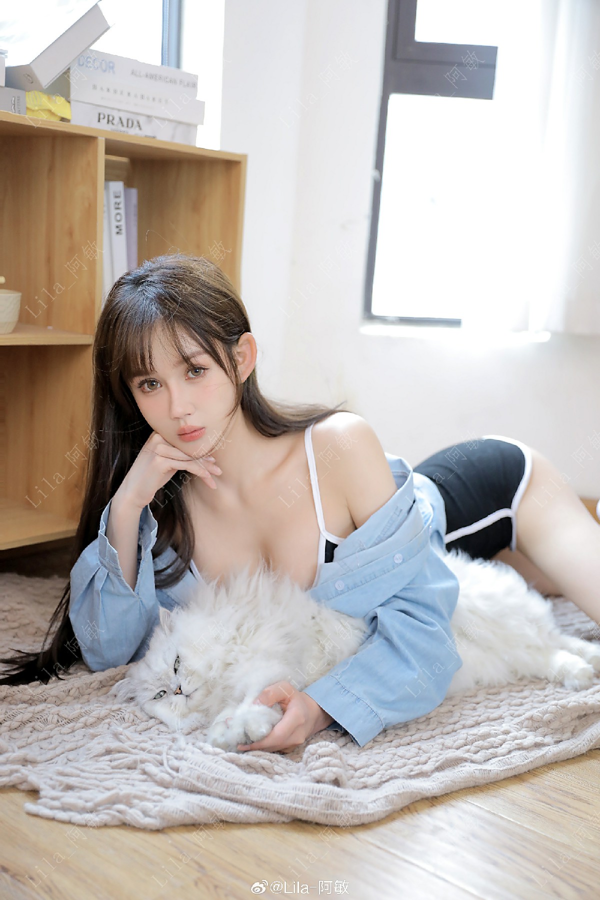 居家慵懒风日常随拍 和软萌小猫的惬意时光